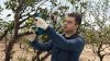 Akumulatorowy sekator ogrodniczy Bosch Professional Pro Pruner 2x3.0Ah 12V